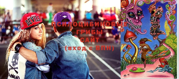 гидропоника Алзамай