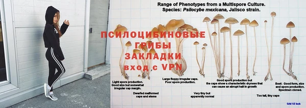 экстази Покровск