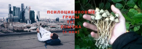 синтетический гашиш Алексеевка